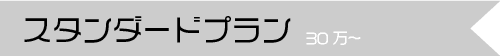 スタンダードプラン 30万～